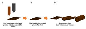 Smart gel-based sheet can form 3D Printed Conduit helping non-invasive nerve repair