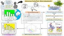 The research student conducted pioneering research on the medicinal properties of Assam Stevia to prove its therapeutic properties