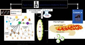 Indian researchers discovered a specific protein IL-35 for diabetes treatment