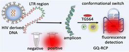 Researchers develop new technique to clearly identify HIV genome